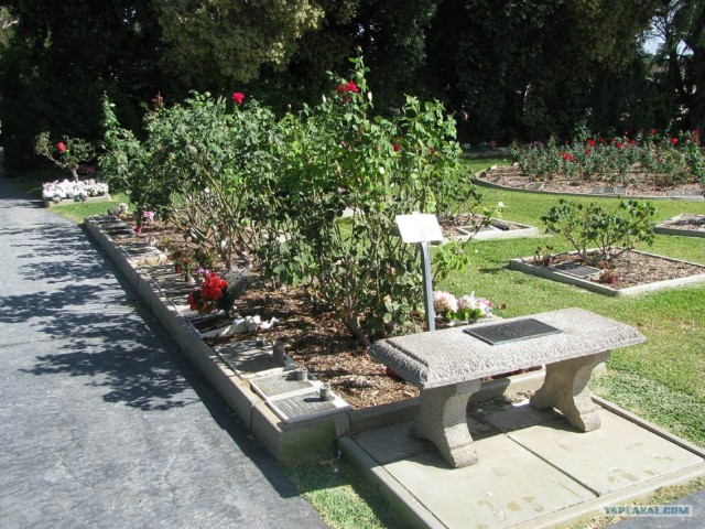 Могила Бона Скотта