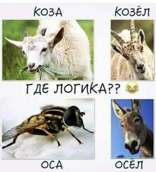 Картинки и мемы для настроения - 009