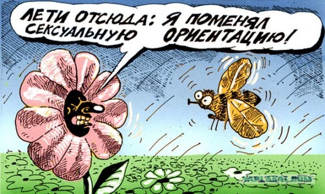 22 рисунка от Меринова