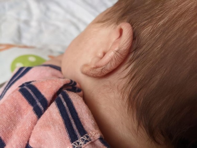 16 неожиданностей, которые преподнёс мир, доказав, что всё удивительное происходит у нас под носом