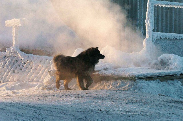 Северный ледовитый океан