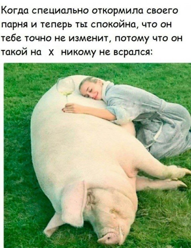 Картинки и мемы для настроения - 133