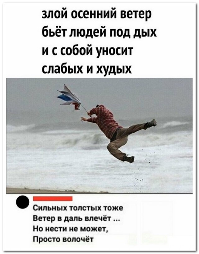 Забавные комментарии из социальных сетей (12.12.22)