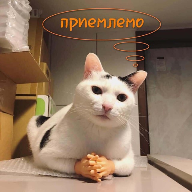 МИД заявил о готовности к переговорам на основе «существующей реальности»