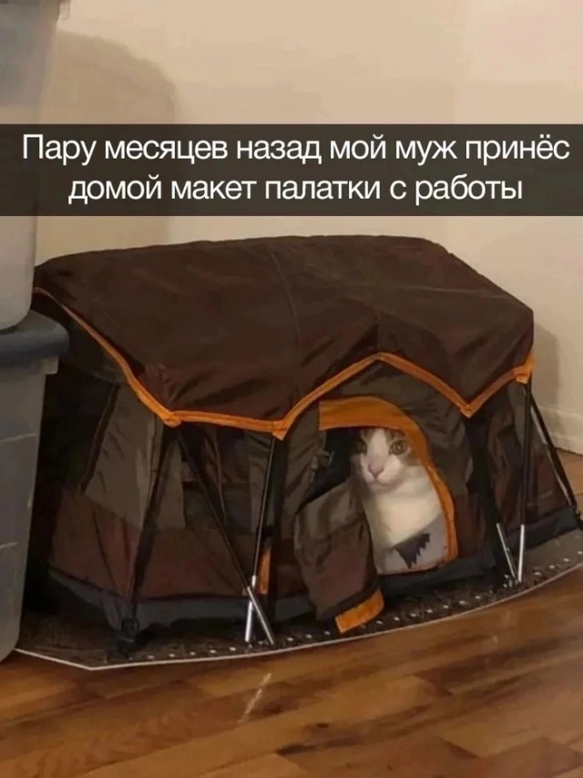 Так себе картинки 07.04.23