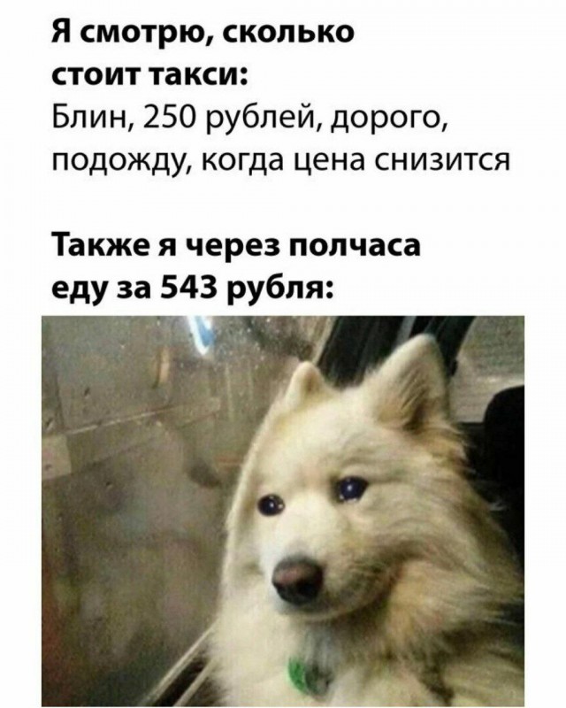 Подборка картинок 17.04.2023