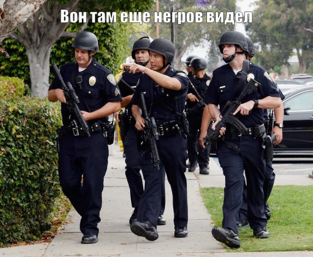 Чернила-4