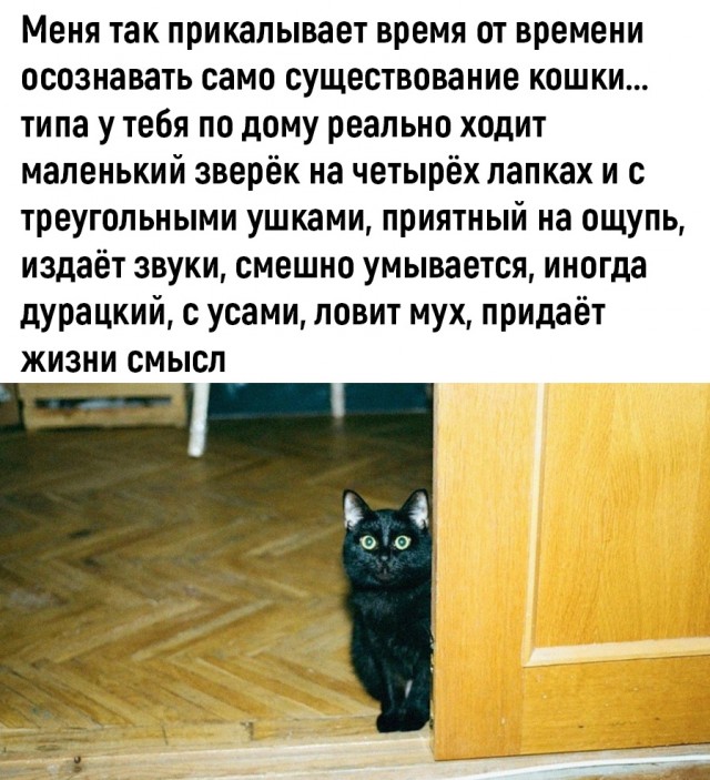 Так себе картинки 09.05.23