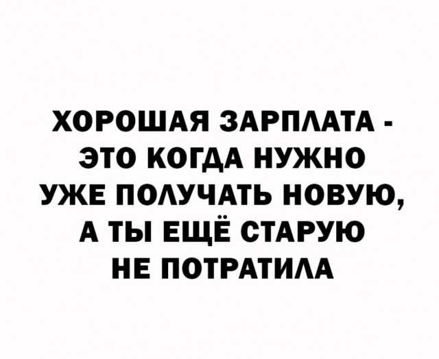 Весёлый полтишок 08.07.23