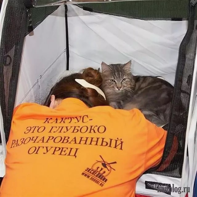 Так себе картинки 13.07.23