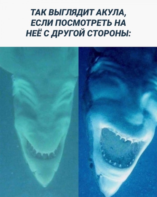 Так себе картинки 01.08.23