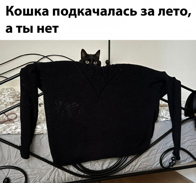 Скупка краденого из сети 08-08-2023
