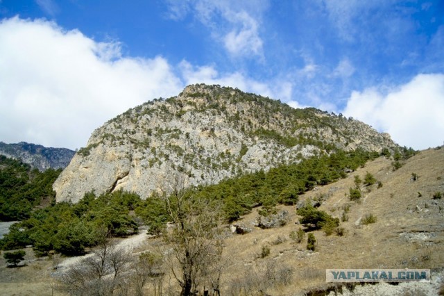 Как я побывал во Владикавказе.