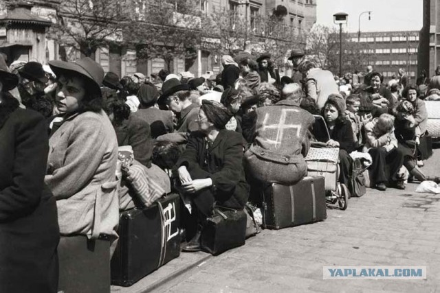 Обнародованы новые документы СВР о переговорах Третьего рейха с Западом