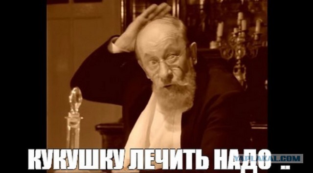 Один кот есть у меня, и тот - в другом городе