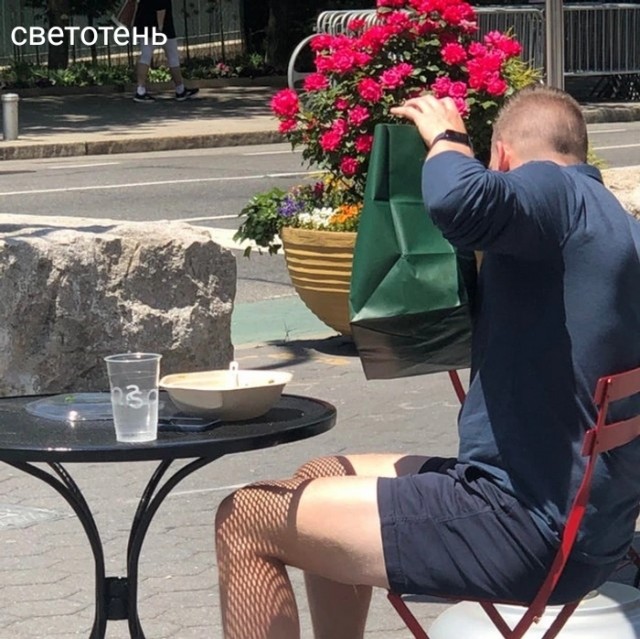 Никакие картинки