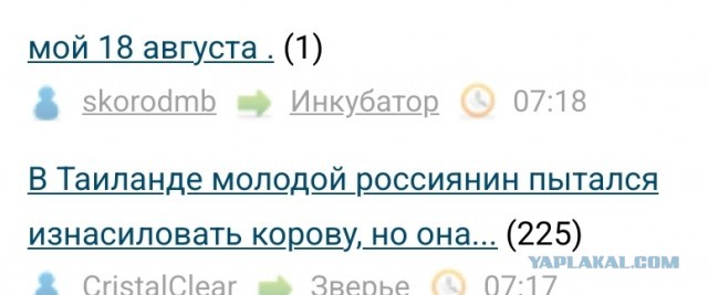 мой 18 августа .