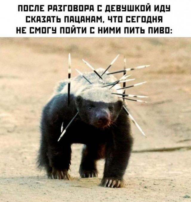 Пятничное улыбательное.