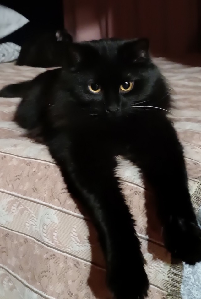 Гамарджоба