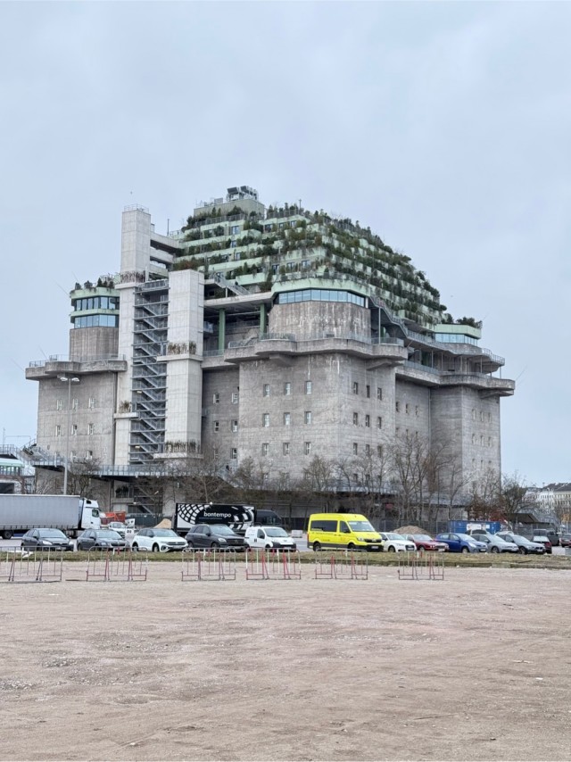 Фотосмесь 07.03.25