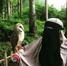 Сова в Москве