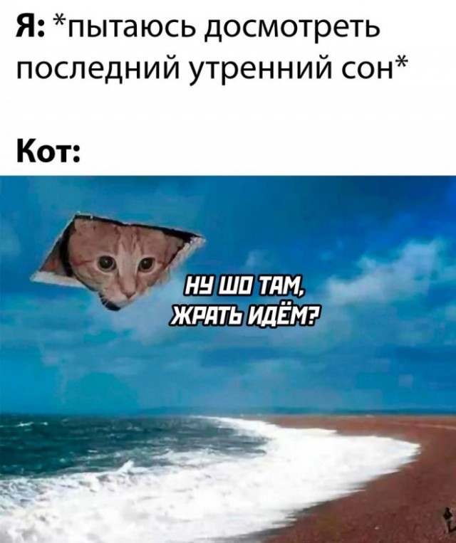 Веселые картинки в пятницу (11.04)