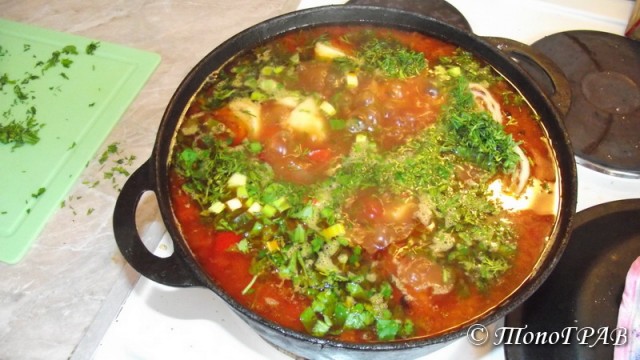 International одной книги., В память о Дженибеке.