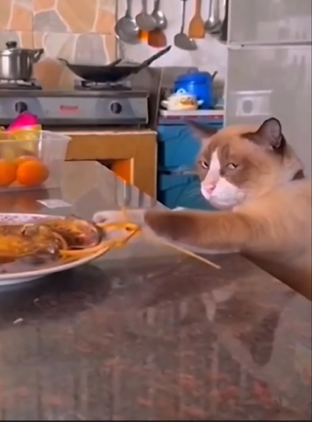 Дайте мне вон то вкусновое