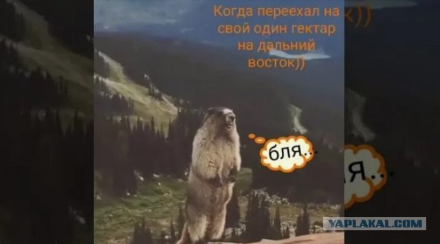 В России хотят бесплатно выдавать землю семейным парам с ребёнком после 10 лет брака
