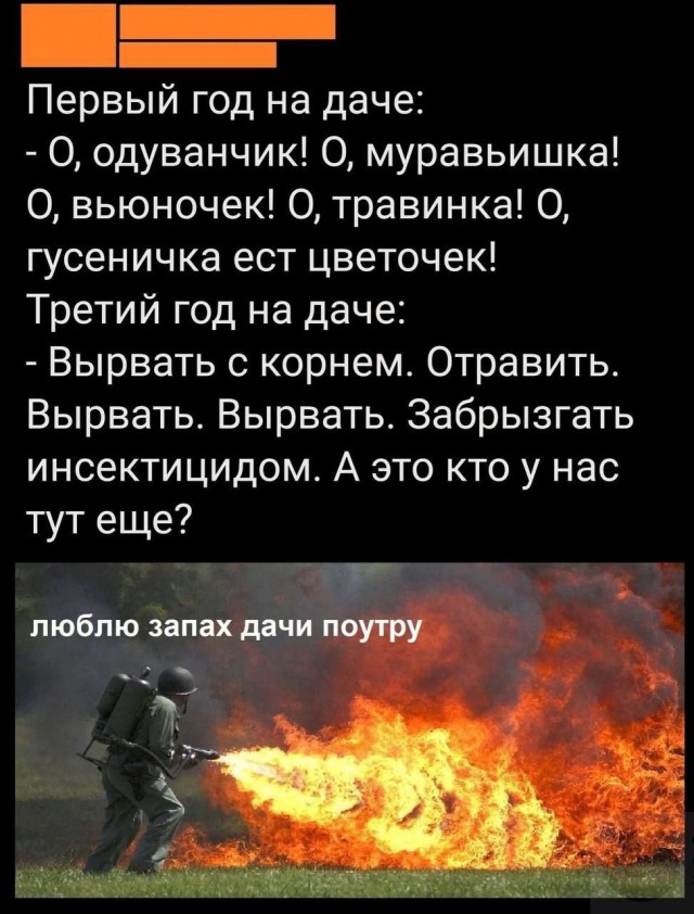 Картинки для деградации-6 (разной степени свежести)