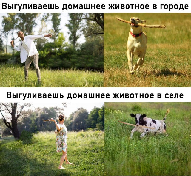 Немного картинок 31.07.25