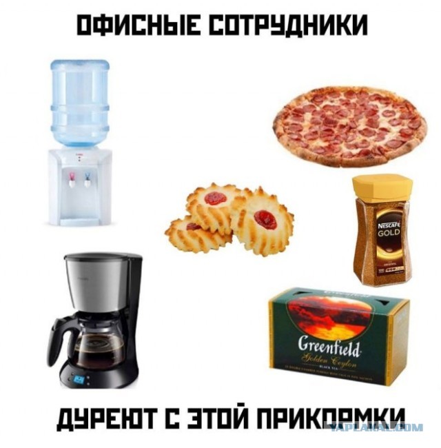 Картинки из ТГ чатов 2