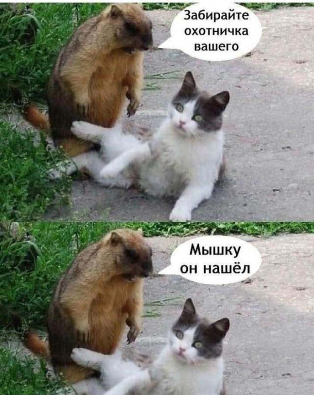 Картинки для деградации 32 (разной степени свежести)
