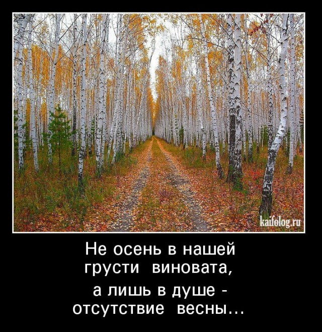 Досвидания лето.