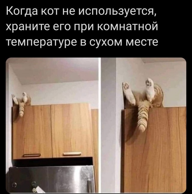 Так себе картинки 21.10.25