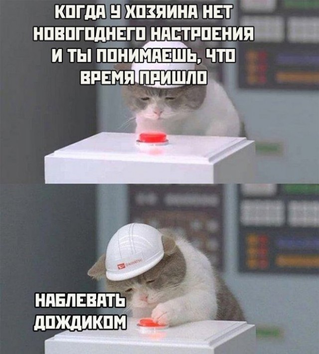 Веселые картинки в ненастоящую пятницу (31.10)