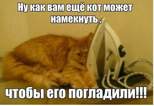 Воскресные картинки