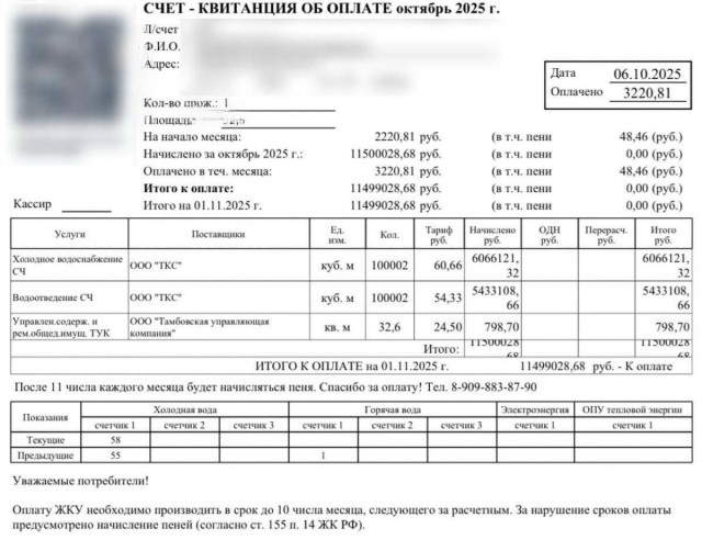 Жительница Амурской области получила счёт за воду почти на 11,5 млн рублей