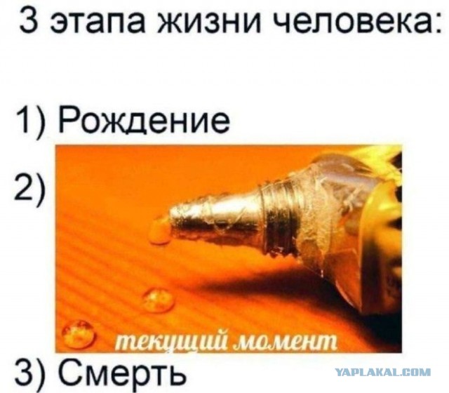 Забавные и не очень скромные картинки - 18