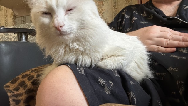 Возвращение доверия