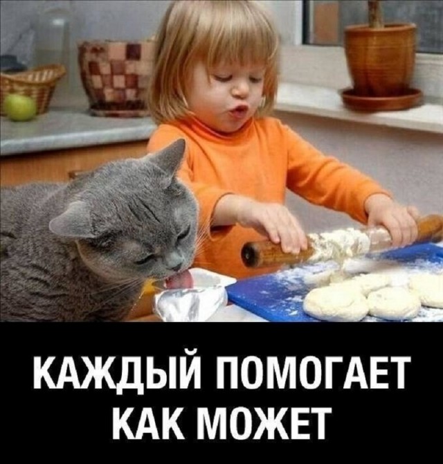 Так себе картинки 10.02.26