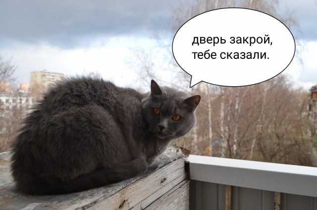 Мамин помощник