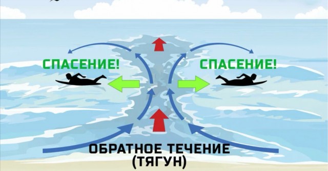 Кадр хороший получился