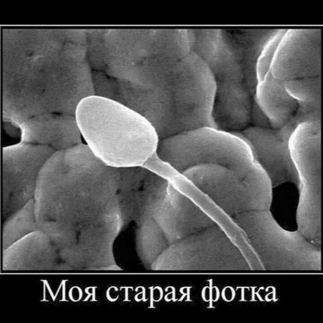 Погнали, пацаны!