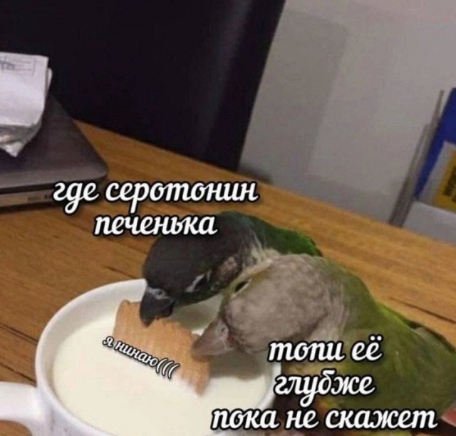 Так себе картинки 17.06.26