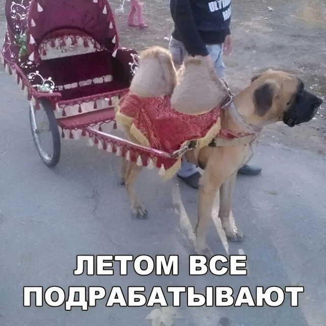 Так себе картинки 24.06.26