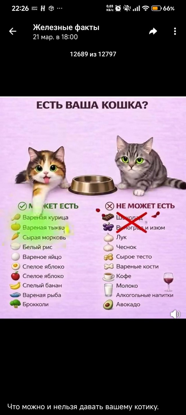 Мошенница