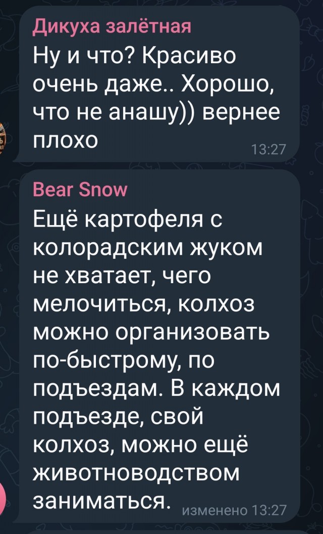 В одном из ЖК соседи посадили помидоры на клумбе