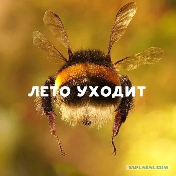 Грусти пост