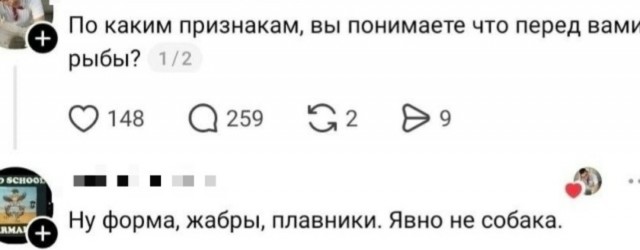 Картинки для деградации 267 (разной степени свежести)